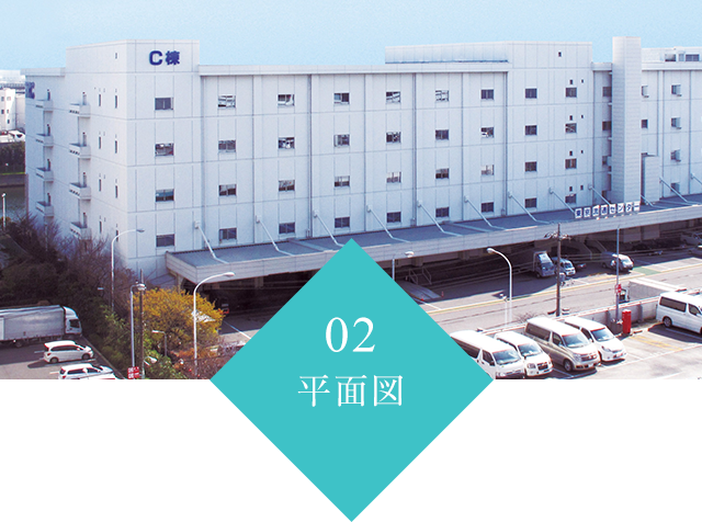 平面図